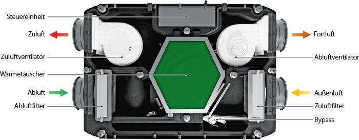 reneo-d-design-700-de-2025-02